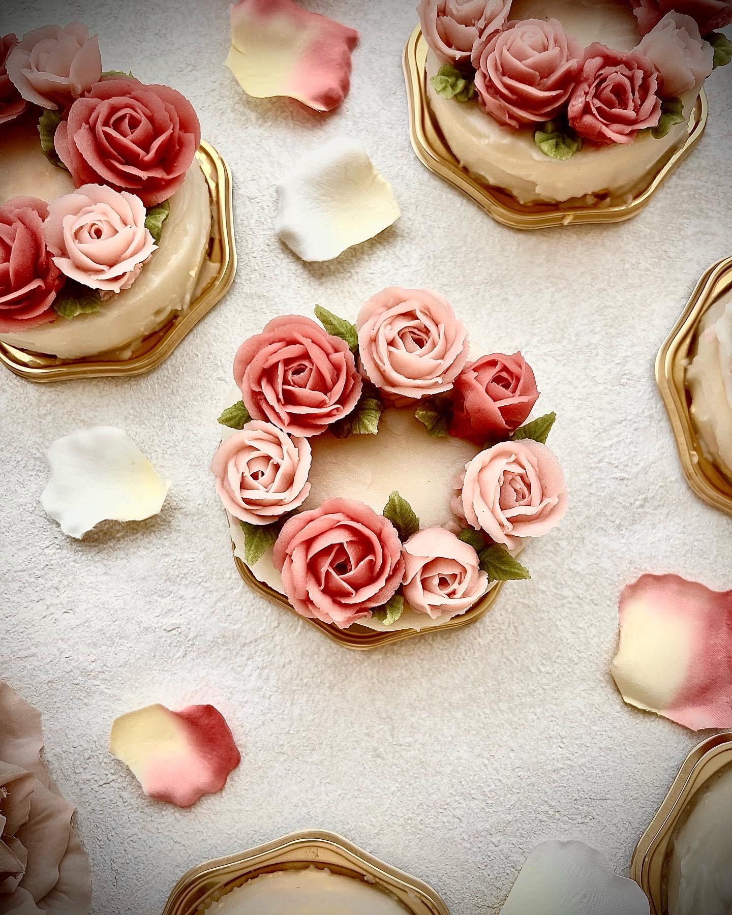 神奈川県　雪華_pet.sweets