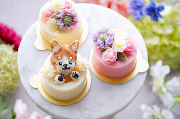 ペット用ゼリー