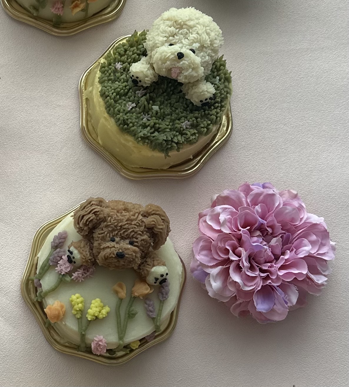 東京都　Milo’s Natural Treatsアドバンス認定校